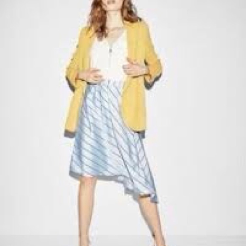 NWT Express Asymmetrical Skirt